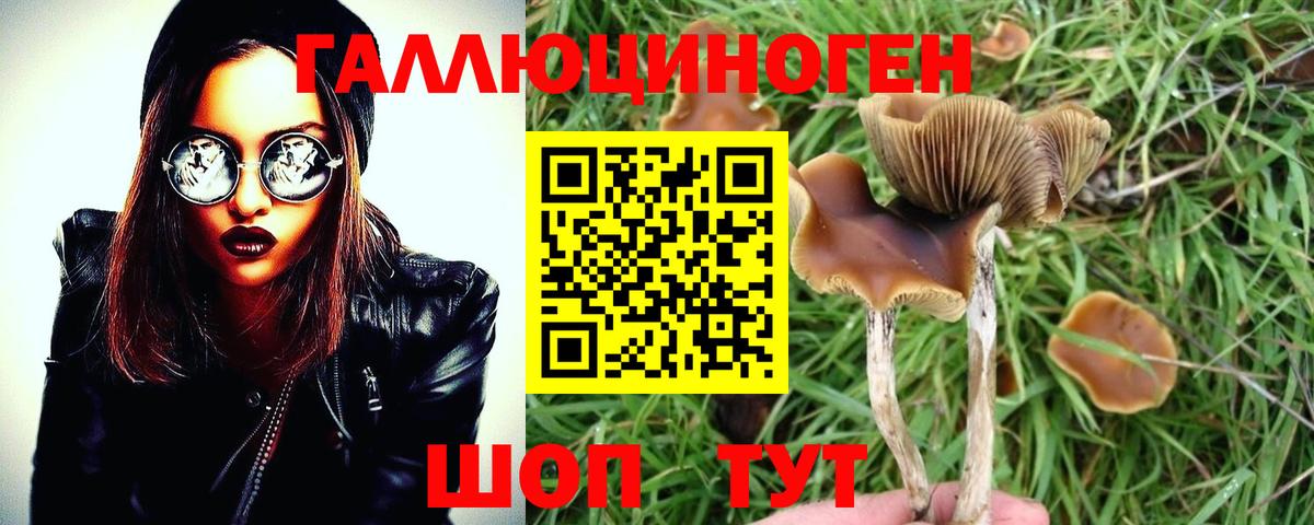 Псилоцибиновые грибы GOLDEN TEACHER Комсомольск-на-Амуре