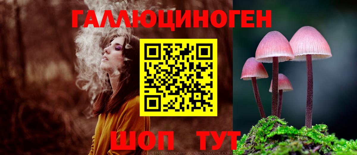 где можно купить   Псилоцибиновые грибы Cubensis  Вход с VPN  Псилоцибиновые грибы Magic Shrooms  Комсомольск-на-Амуре 
